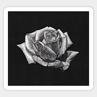 Scratchboard Rose Sticker